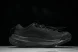 Nike ACG Mountain Fly 2 Low SP FZ3311-001 