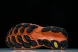 New Balance Fresh Foam X More V3TDS MTMORCK3 