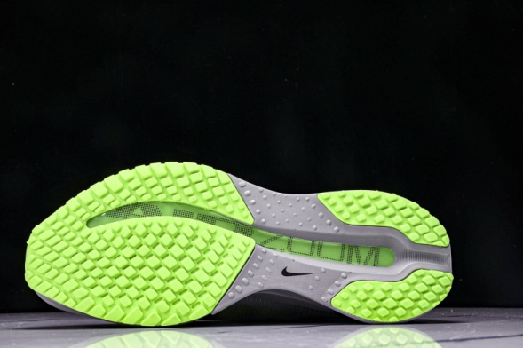 Nike Air Zoom Pegasus Premium HQ2593-009 