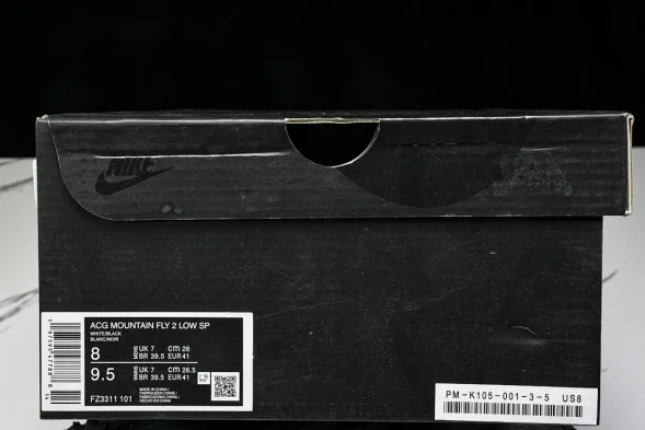Nike ACG Mountain Fly 2 Low SP FZ3311-101 