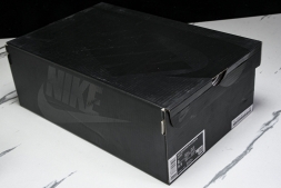 Nike ACG Mountain Fly 2 Low SP FZ3311-101