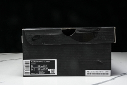 Nike ACG Mountain Fly 2 Low SP FZ3311-101