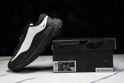 Nike ACG Mountain Fly 2 Low SP FZ3311-101