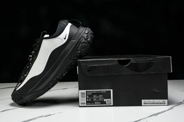 Nike ACG Mountain Fly 2 Low SP FZ3311-101 