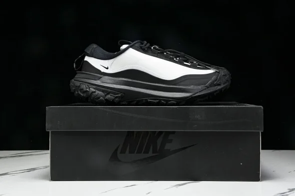 Nike ACG Mountain Fly 2 Low SP FZ3311-101 