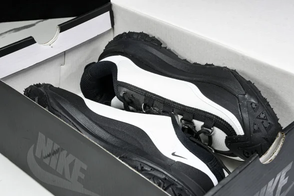 Nike ACG Mountain Fly 2 Low SP FZ3311-101 