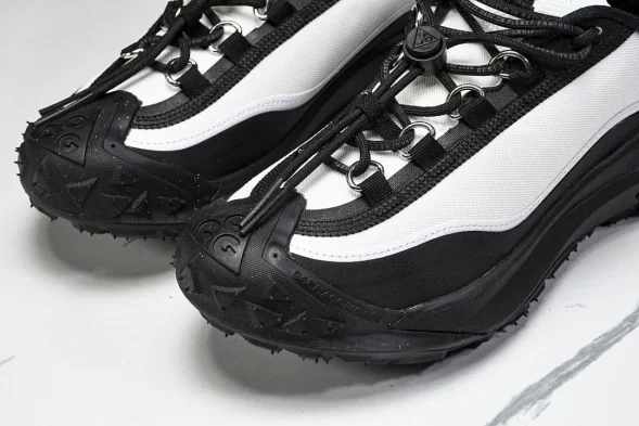 Nike ACG Mountain Fly 2 Low SP FZ3311-101 