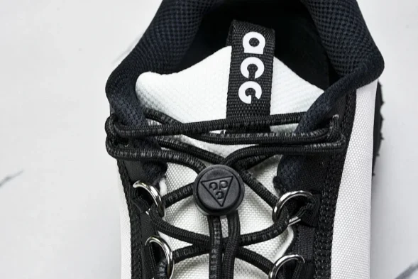 Nike ACG Mountain Fly 2 Low SP FZ3311-101 