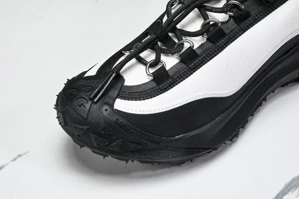 Nike ACG Mountain Fly 2 Low SP FZ3311-101 