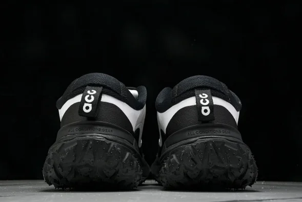Nike ACG Mountain Fly 2 Low SP FZ3311-101 