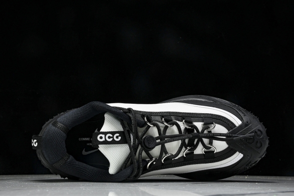 Nike ACG Mountain Fly 2 Low SP FZ3311-101 