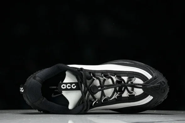 Nike ACG Mountain Fly 2 Low SP FZ3311-101 