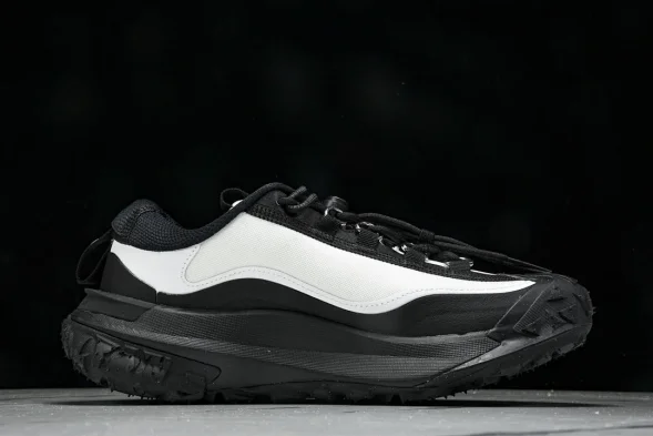 Nike ACG Mountain Fly 2 Low SP FZ3311-101 