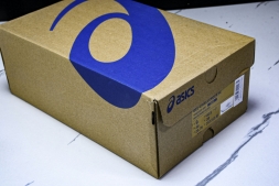 Asics Gel-Challenger 14 1042A231-100