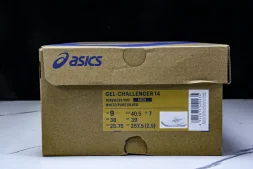 Asics Gel-Challenger 14 1042A231-100