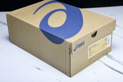 Asics Gel-Flux 4 CN 1011B646-100