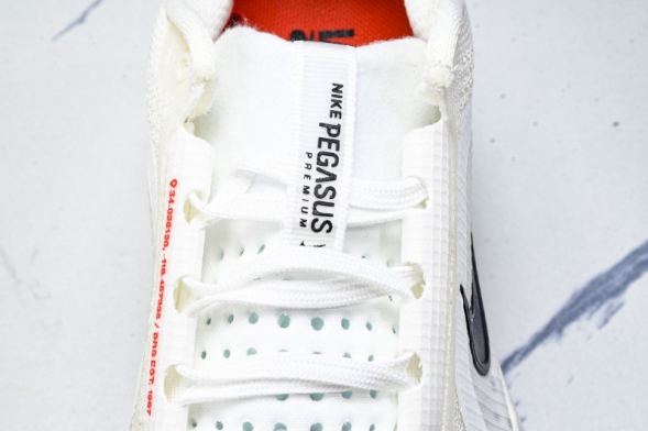 Nike Air Zoom Pegasus Premium HQ2592-101 