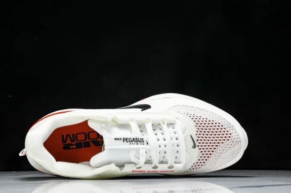 Nike Air Zoom Pegasus Premium HQ2592-101 