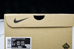 Nike ACG Mountain Fly Low GTX SE D09334 300