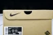 Nike ACG Mountain Fly Low GTX SE D09334 300 