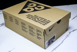 Nike ACG Mountain Fly Low GTX SE D09334 300