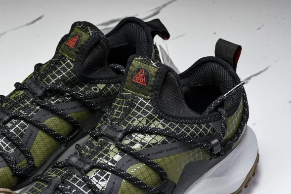 Nike ACG Mountain Fly Low GTX SE D09334 300 