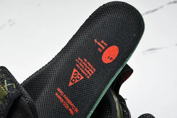 Nike ACG Mountain Fly Low GTX SE D09334 300 