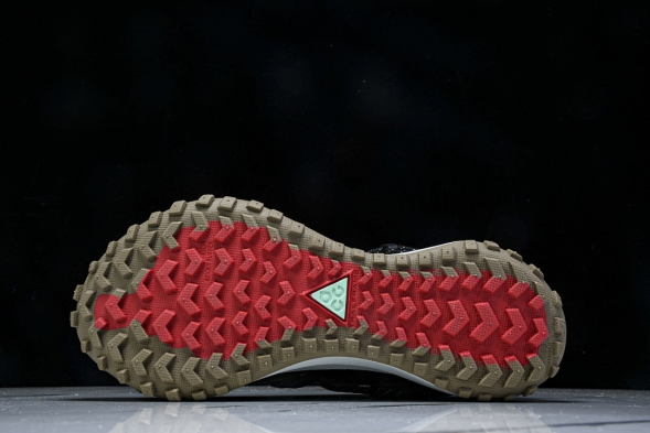 Nike ACG Mountain Fly Low GTX SE D09334 300 