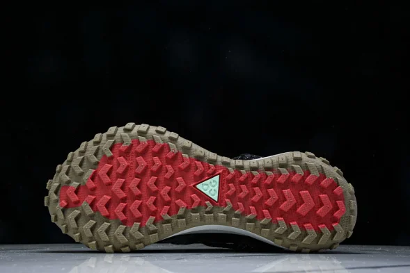Nike ACG Mountain Fly Low GTX SE D09334 300 