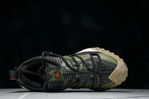 Nike ACG Mountain Fly Low GTX SE D09334 300 
