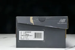 New Balance 1906 M1906RGP