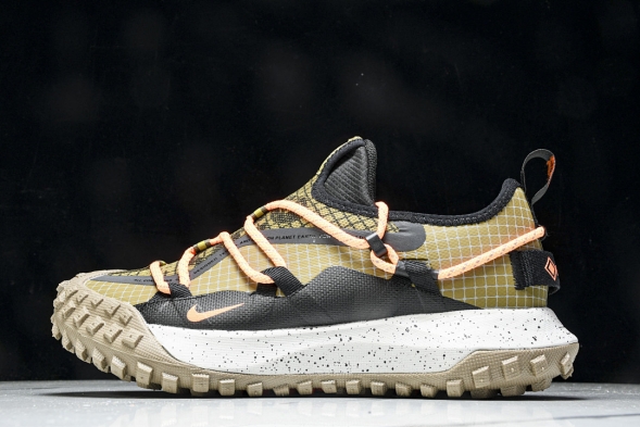 Nike ACG Mountain Fly Low GTX SE DD2861 200 