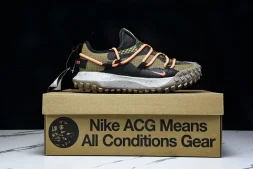 Nike ACG Mountain Fly Low GTX SE DD2861 200