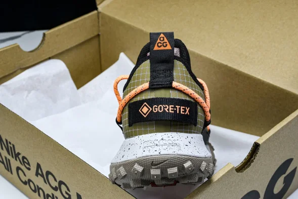 Nike ACG Mountain Fly Low GTX SE DD2861 200 