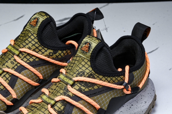 Nike ACG Mountain Fly Low GTX SE DD2861 200 