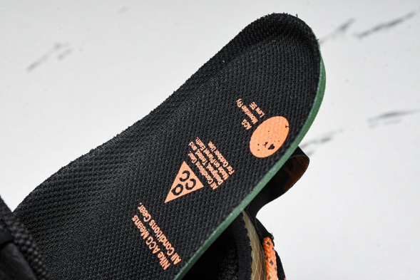 Nike ACG Mountain Fly Low GTX SE DD2861 200 