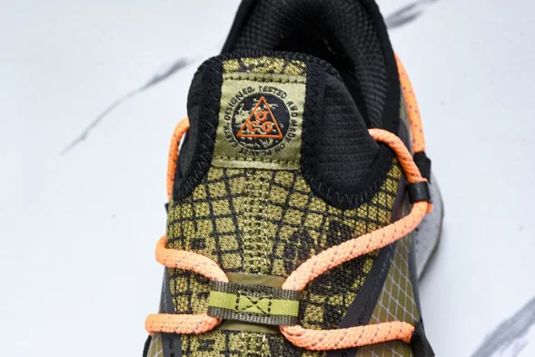Nike ACG Mountain Fly Low GTX SE DD2861 200 
