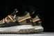 Nike ACG Mountain Fly Low GTX SE DD2861 200 