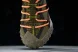 Nike ACG Mountain Fly Low GTX SE DD2861 200 
