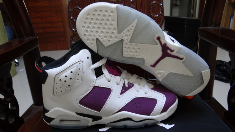  Nike Air Jordan 6 