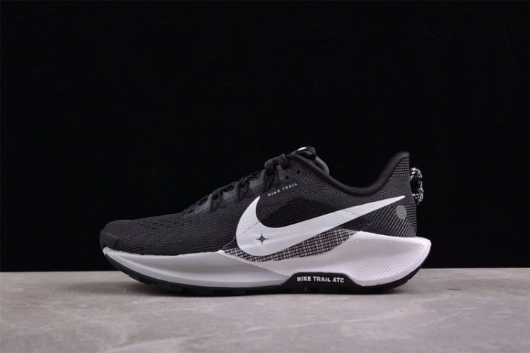  Nike Pegasus Trail 5 DV3864-001