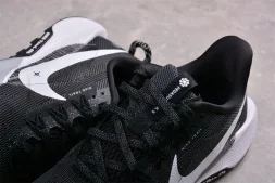 Nike Pegasus Trail 5 DV3864-001