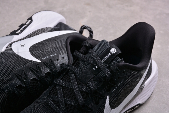 Nike Pegasus Trail 5 DV3864-001 