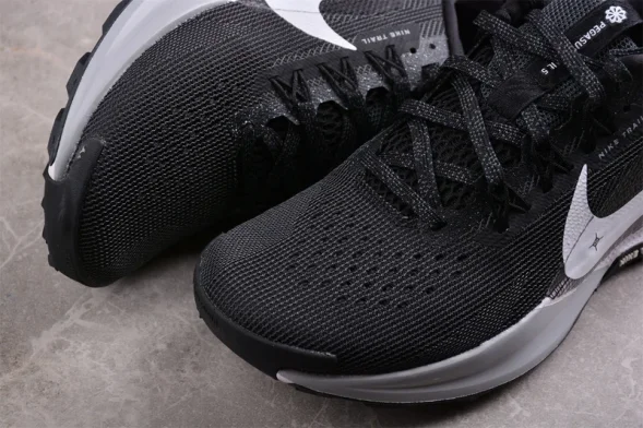 Nike Pegasus Trail 5 DV3864-001 