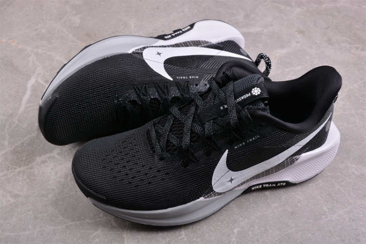  Nike Pegasus Trail 5 DV3864-001