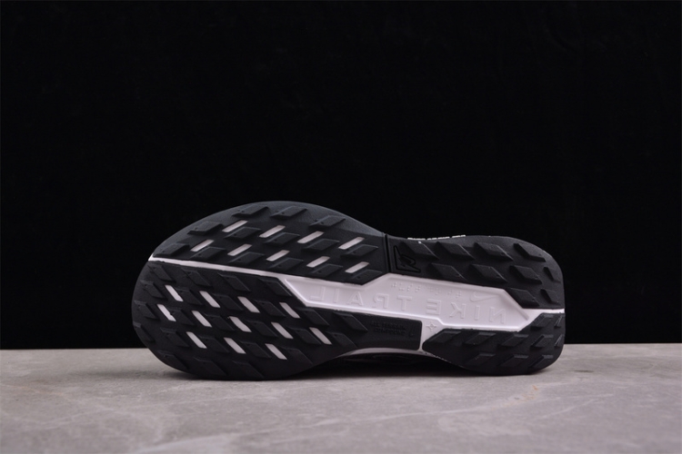  Nike Pegasus Trail 5 DV3864-001