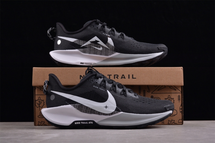  Nike Pegasus Trail 5 DV3864-001