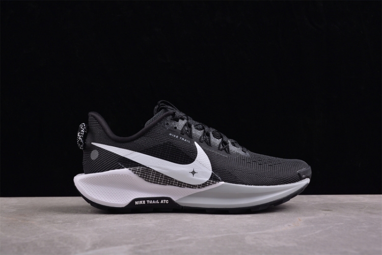  Nike Pegasus Trail 5 DV3864-001