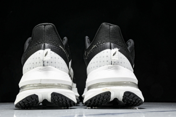 Nike Air Zoom Pegasus Premium HQ2592-008 