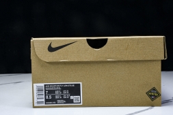 Nike ACG Mountain Fly Low GTX SE DD2861 001